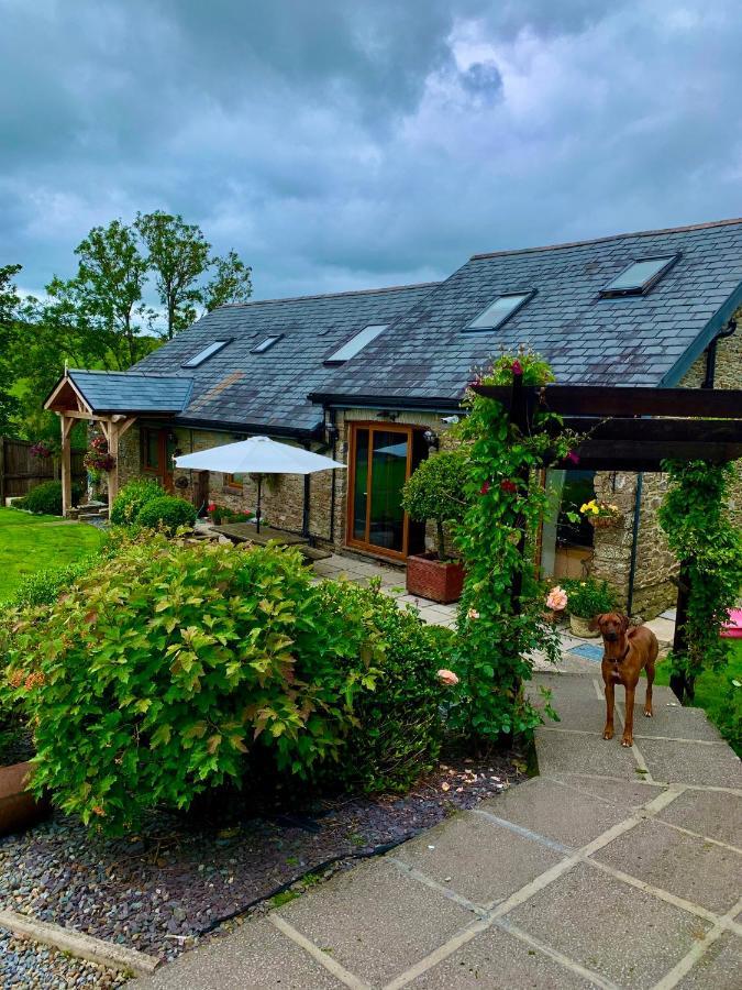 Beudy Bach Bed & Breakfast Cross Hands Zewnętrze zdjęcie